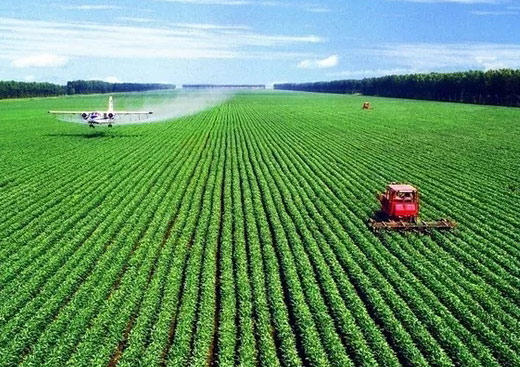 Machine vision for precision agriculture