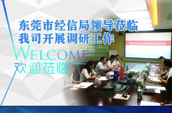 The leaders of Dongguan City Bureau of Industry and Information Technology visited our company to carry out research work